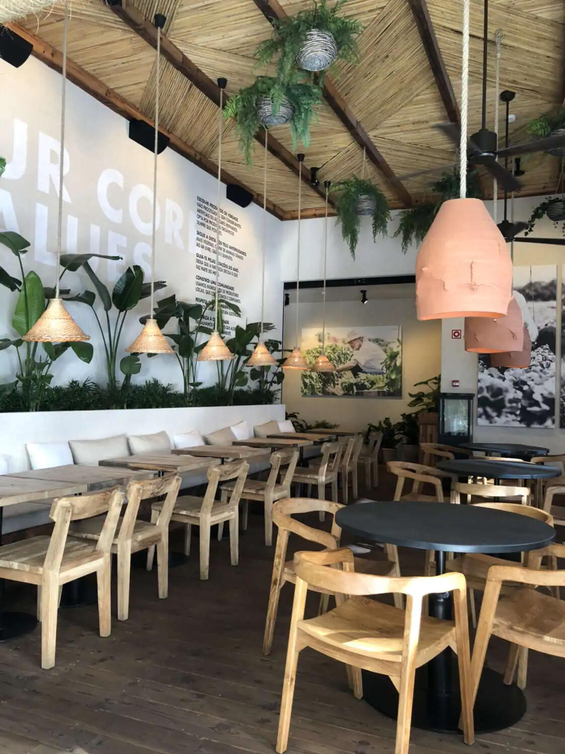 Fonte: Google e Zomato