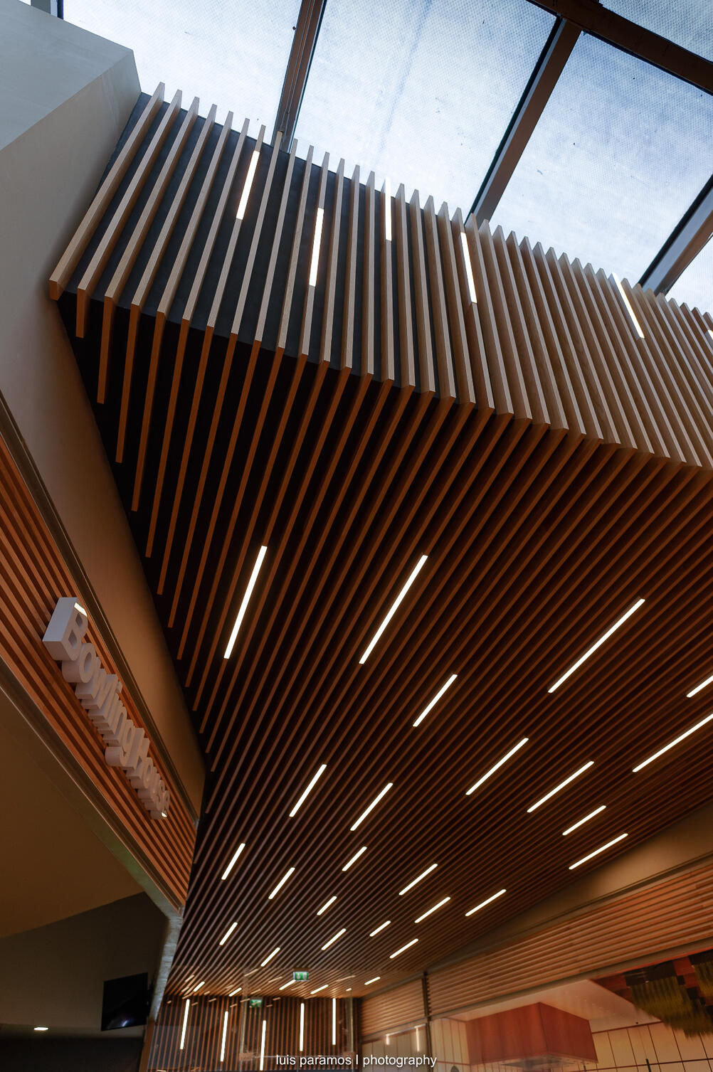 Fonte: Luís Paramos