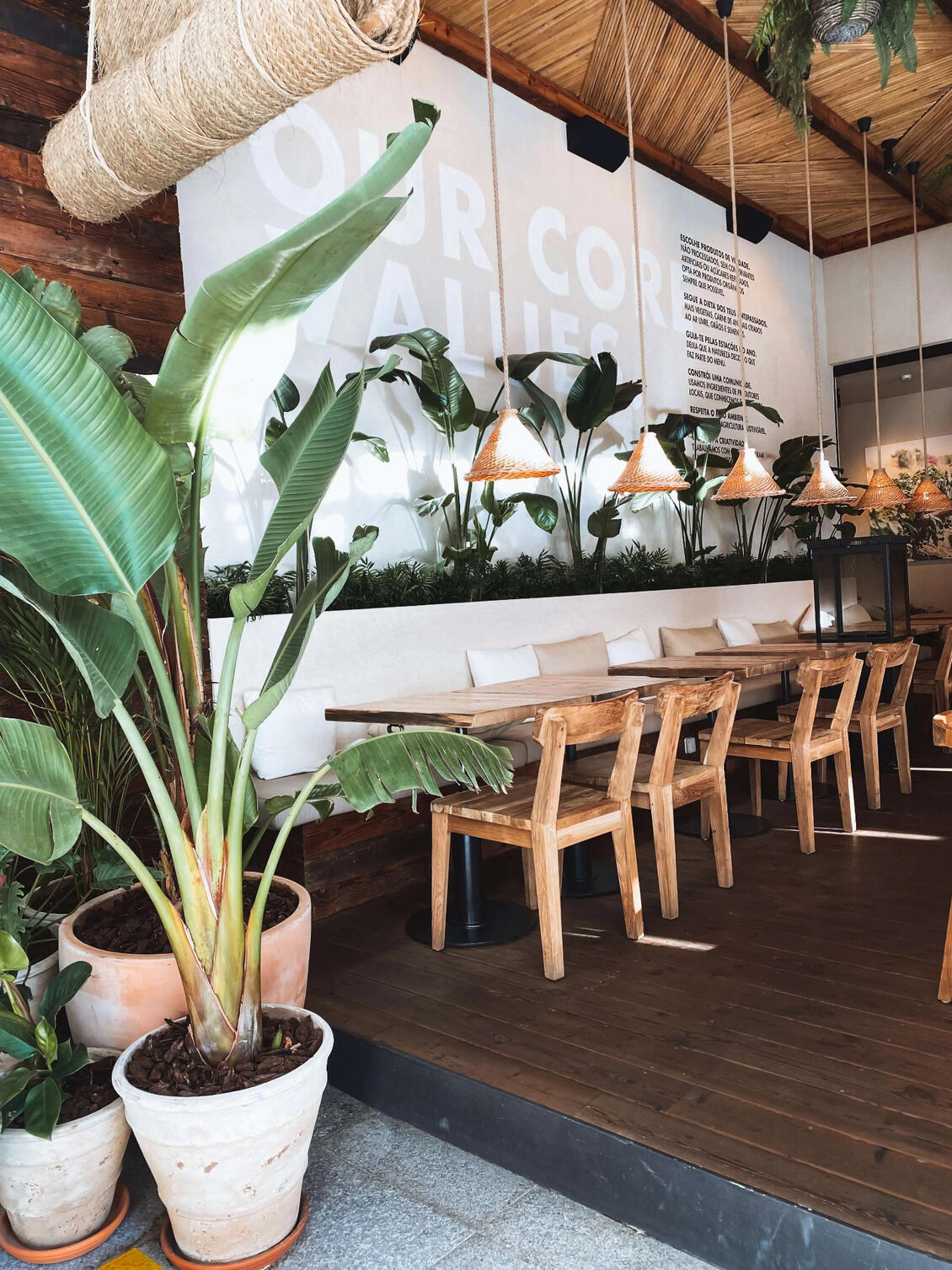 Fonte: Google e Zomato