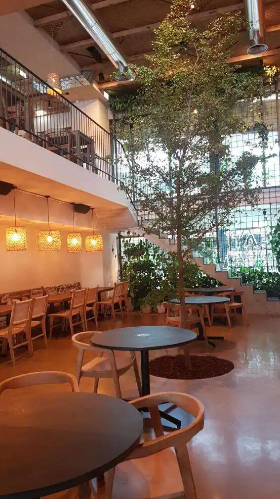 Fonte: Google e Zomato